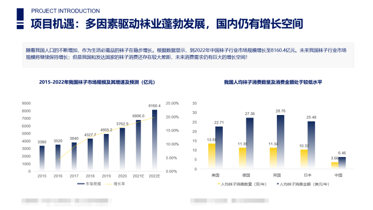 裤袜代理项目商业计划书