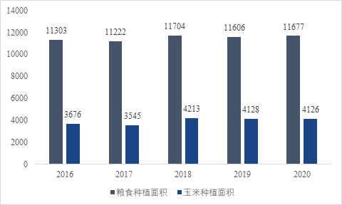 甘肃玉米种植基地项目可行性报告